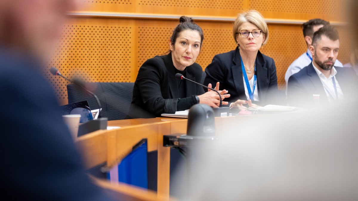 Gutxiengoen eta Hizkuntzen Intertaldea Europako Parlamentuan berriro ere martxan Oihane Agirregoitiaren bultzada eta partaidetzarekin  