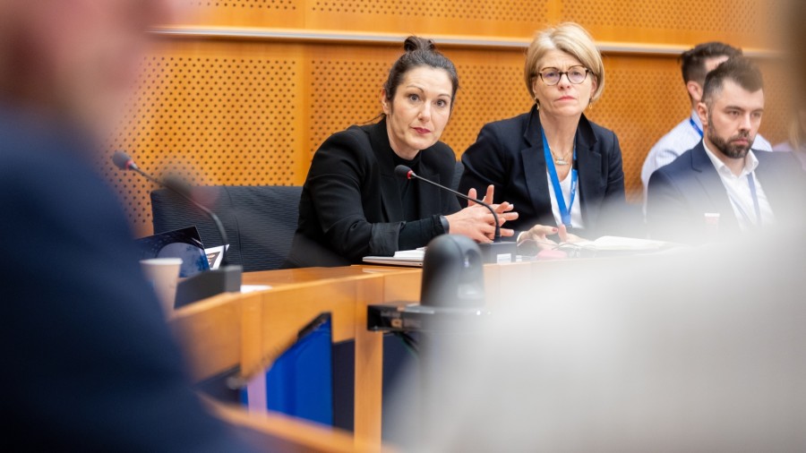 Gutxiengoen eta Hizkuntzen Intertaldea Europako Parlamentuan berriro ere martxan Oihane Agirregoitiaren bultzada eta partaidetzarekin  